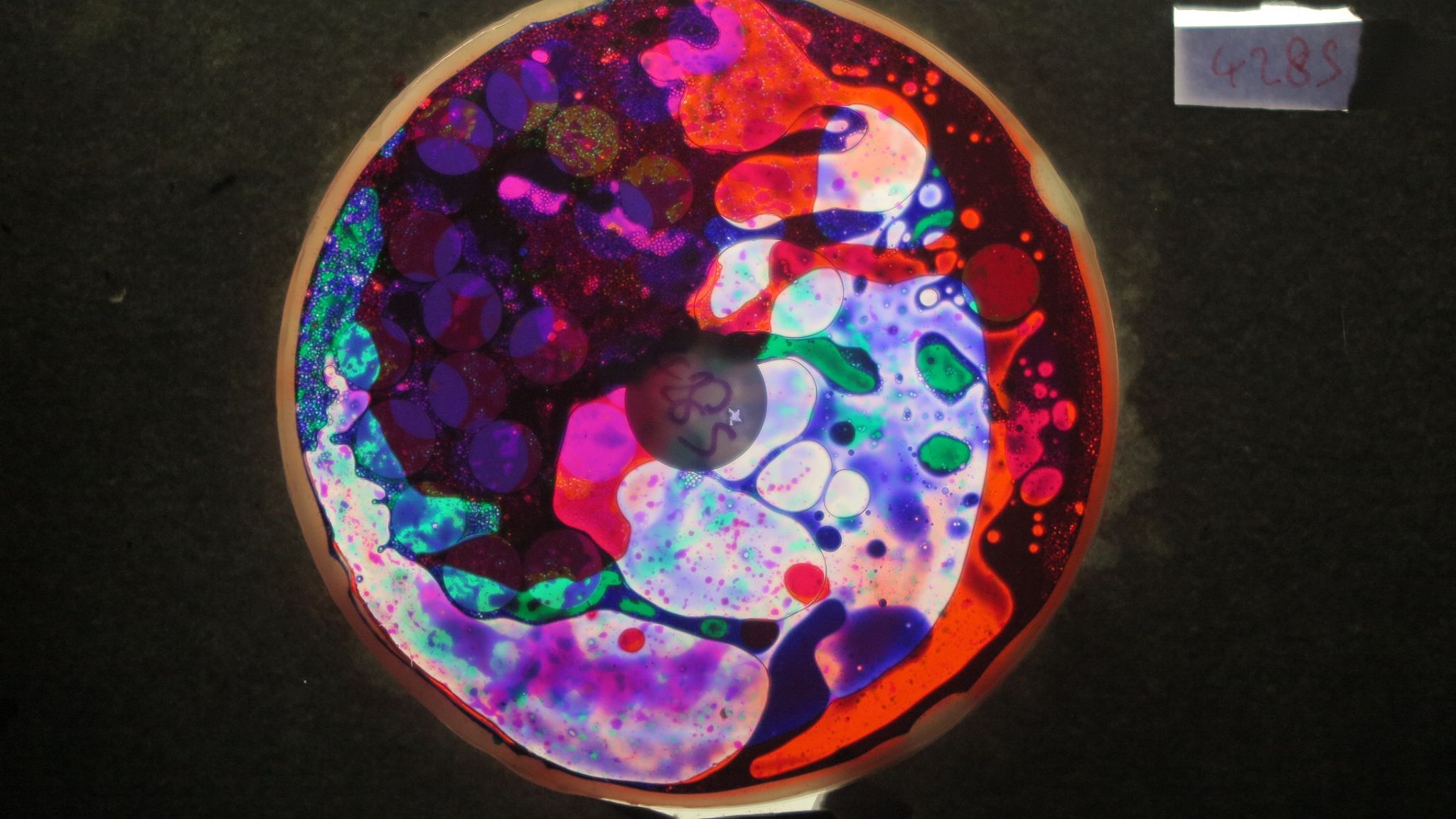 BV4285 bubble vision oil wheel